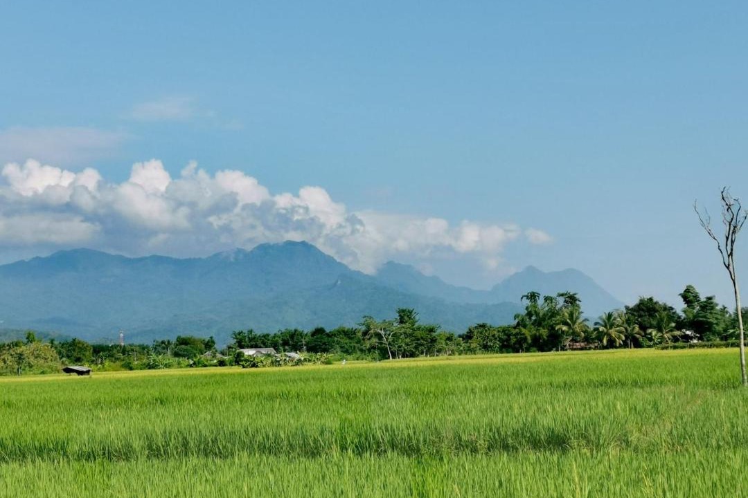 Photo of Others in Si Kham