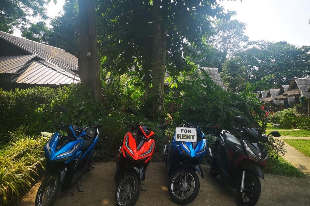 Photo of Others in Bai Lan