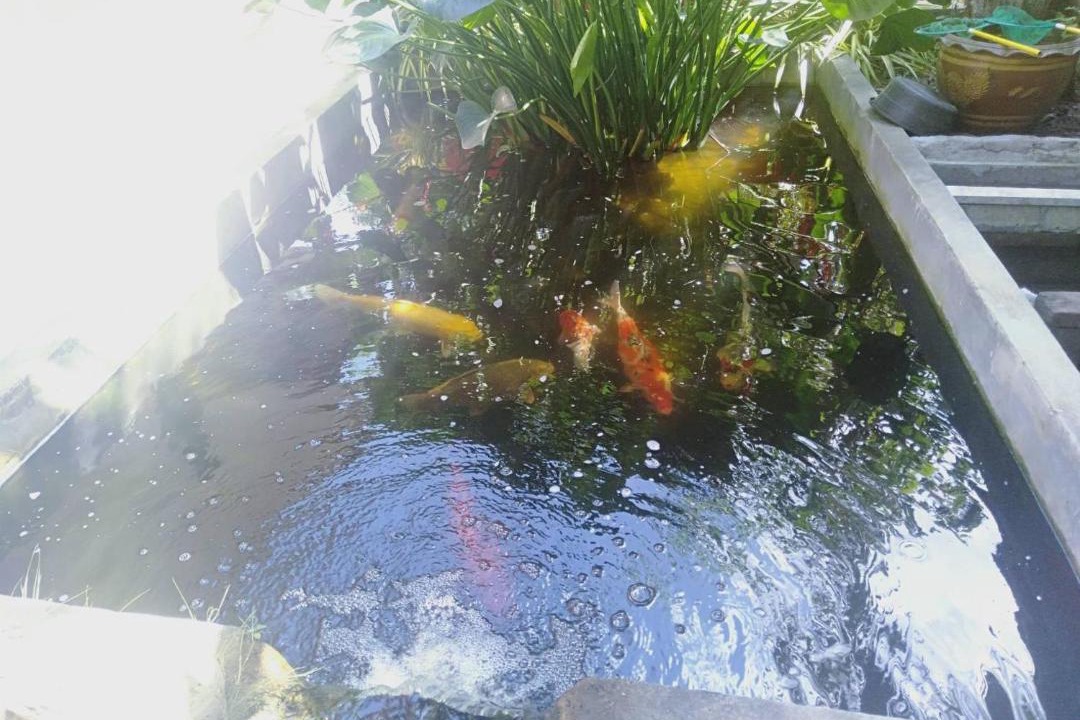 Photo of Outdoor in Chaiya