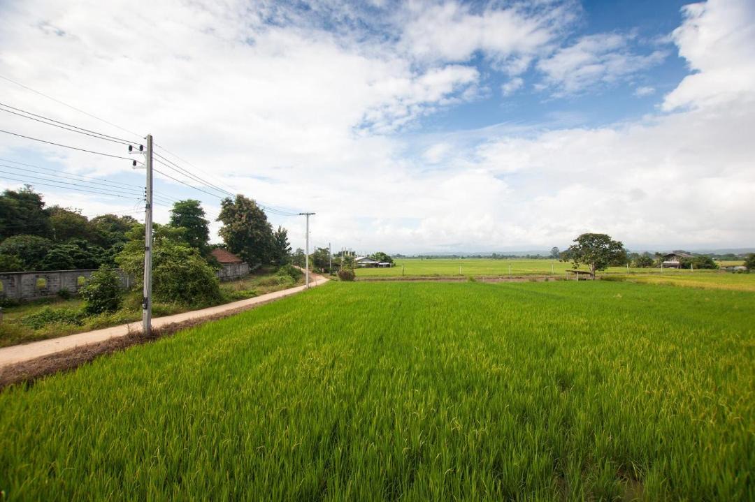 Photo of Others in Mae Faek Mai