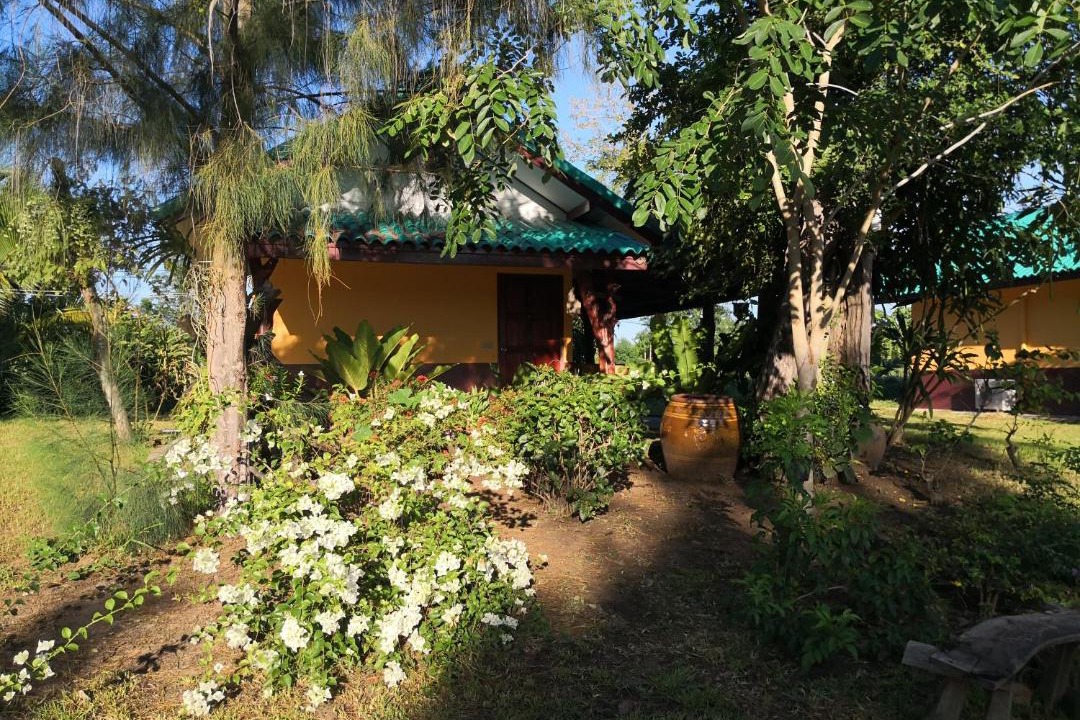Photo of Others in Nong Hong