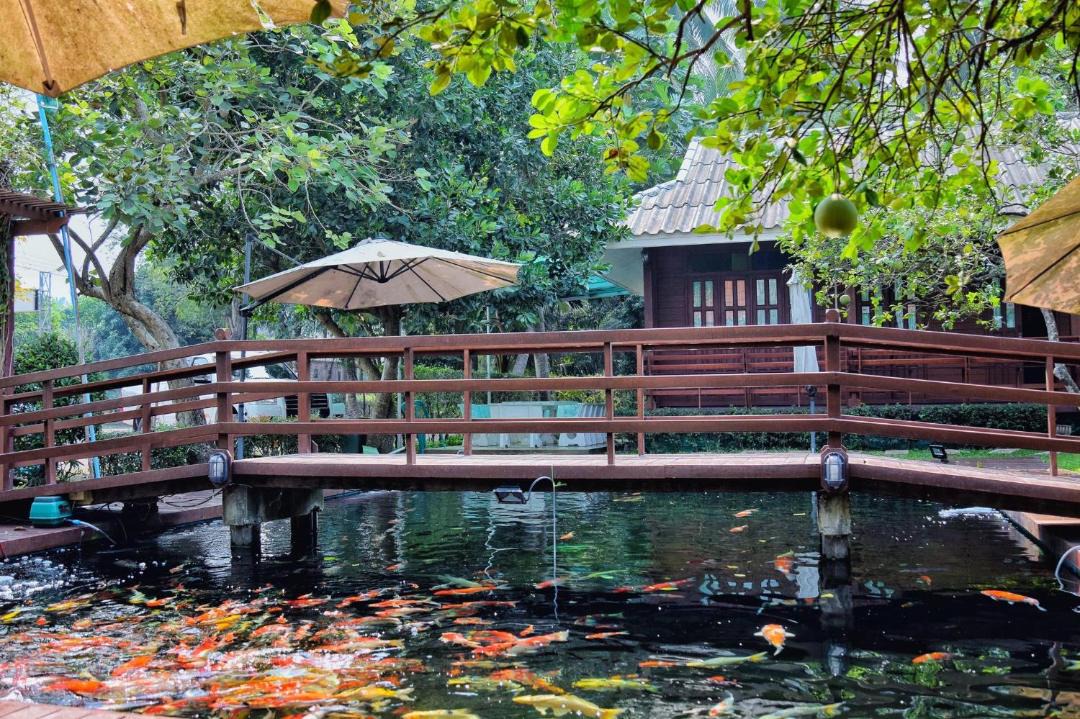 Photo of Others in Amphawa