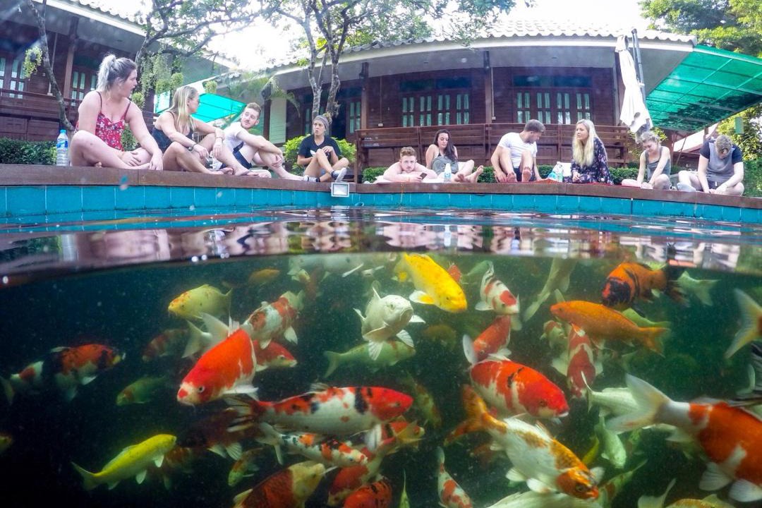 Photo of Others in Amphawa