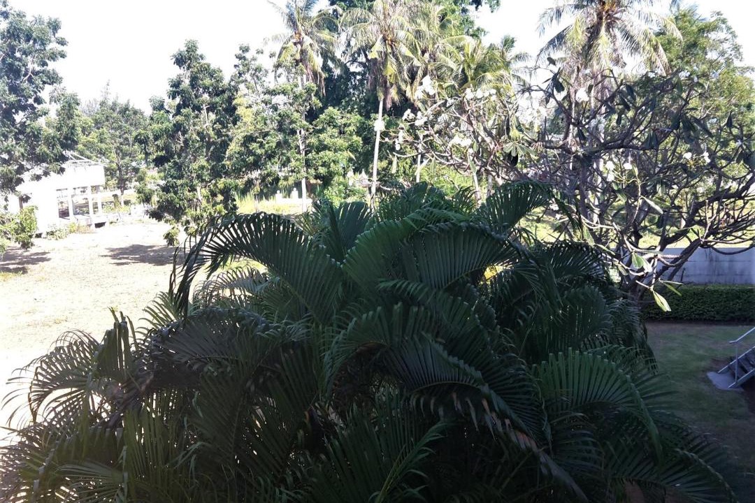 Photo of Others in Sam Roi Yot