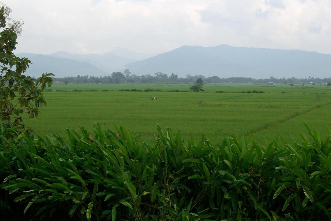 Photo of Others in Chiang Kham