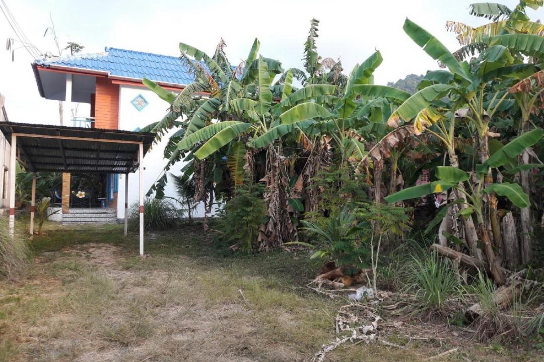 Photo of Others in Cherngtalay