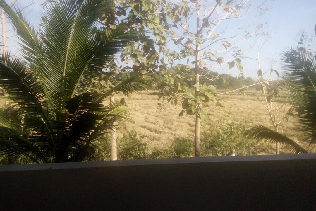 Photo of Others in Prakhon Chai