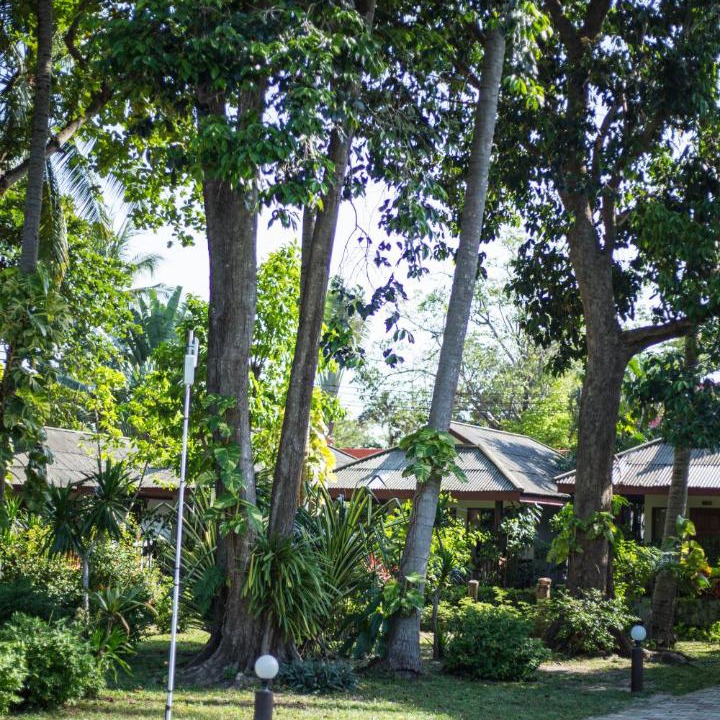 Photo of Others in Chaweng City Center