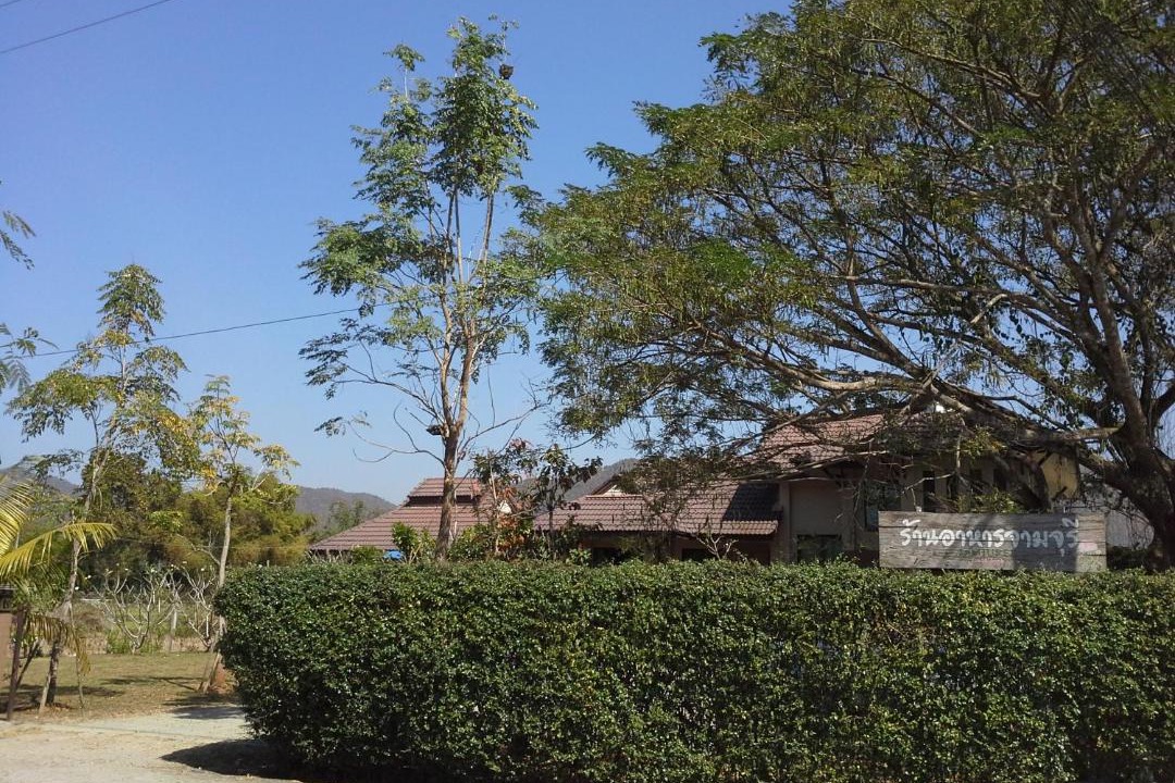 Photo of Others in Luang Nuea