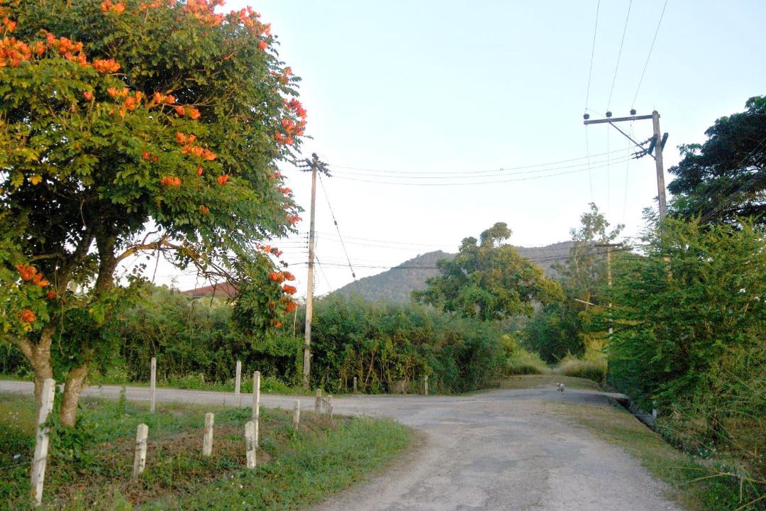 Photo of Others in Luang Nuea
