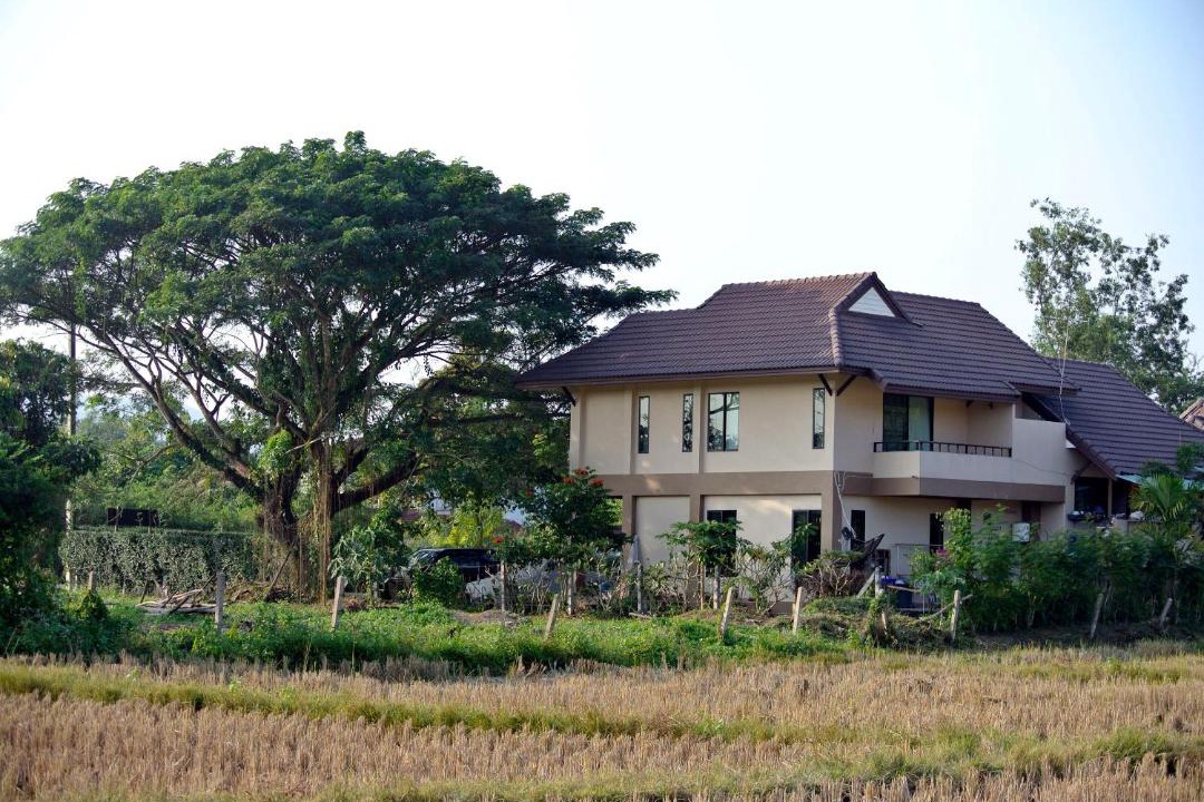 Photo of Others in Luang Nuea