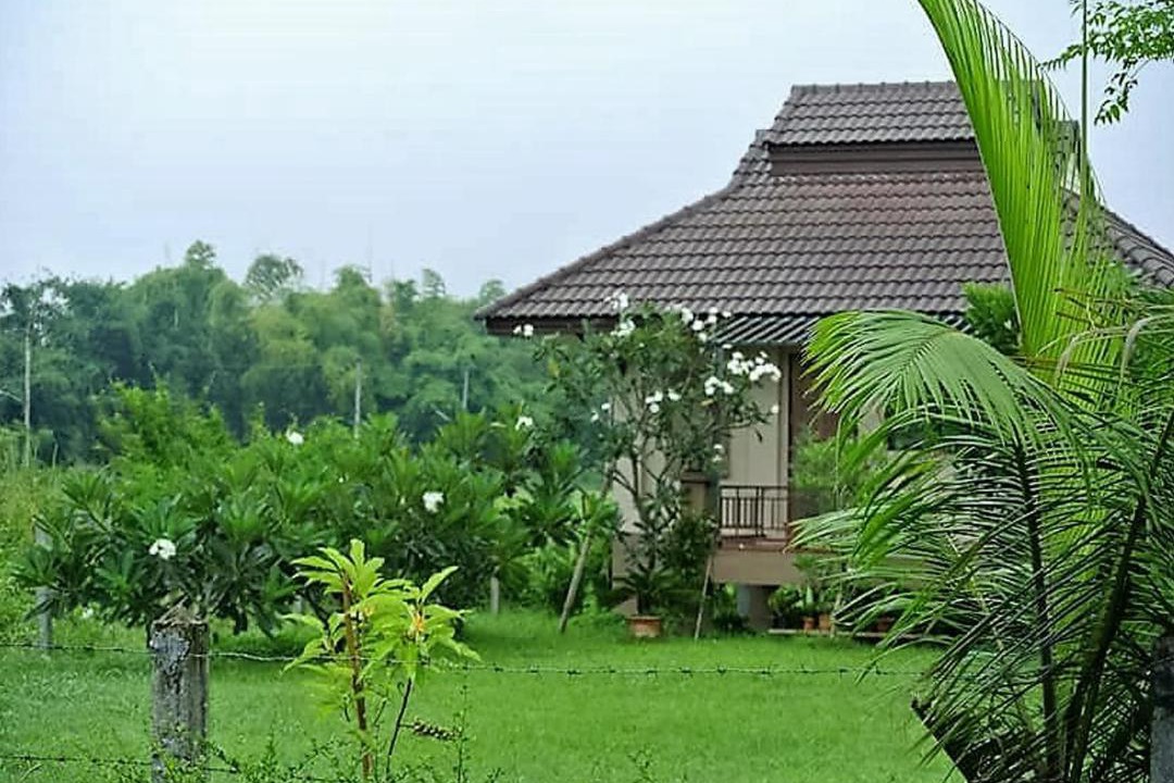 Photo of Others in Luang Nuea