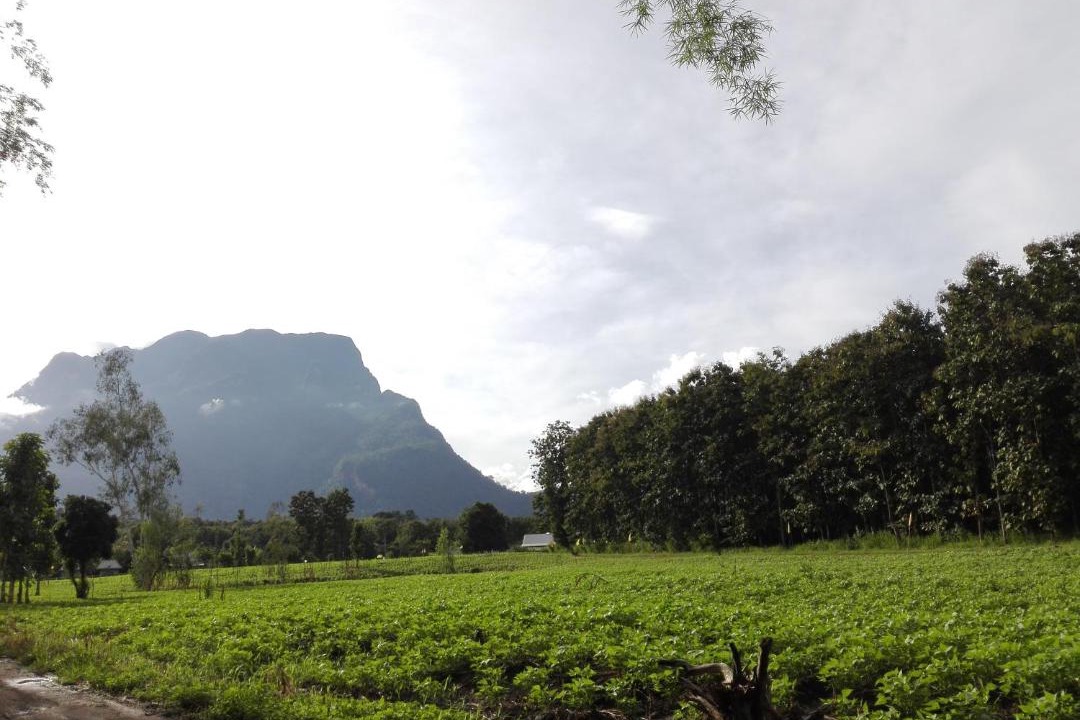 Photo of Others in Chiang Dao