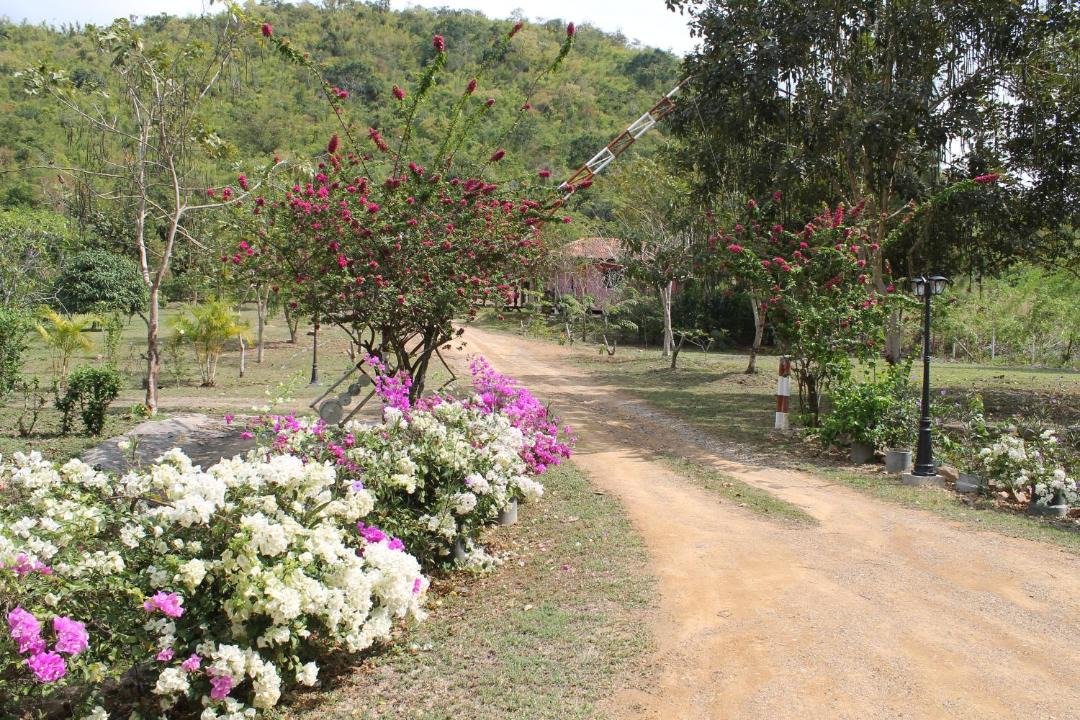 Photo of Outdoor in Song Phi Nong