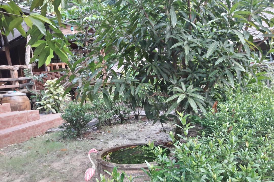Photo of Others in Ko Kood