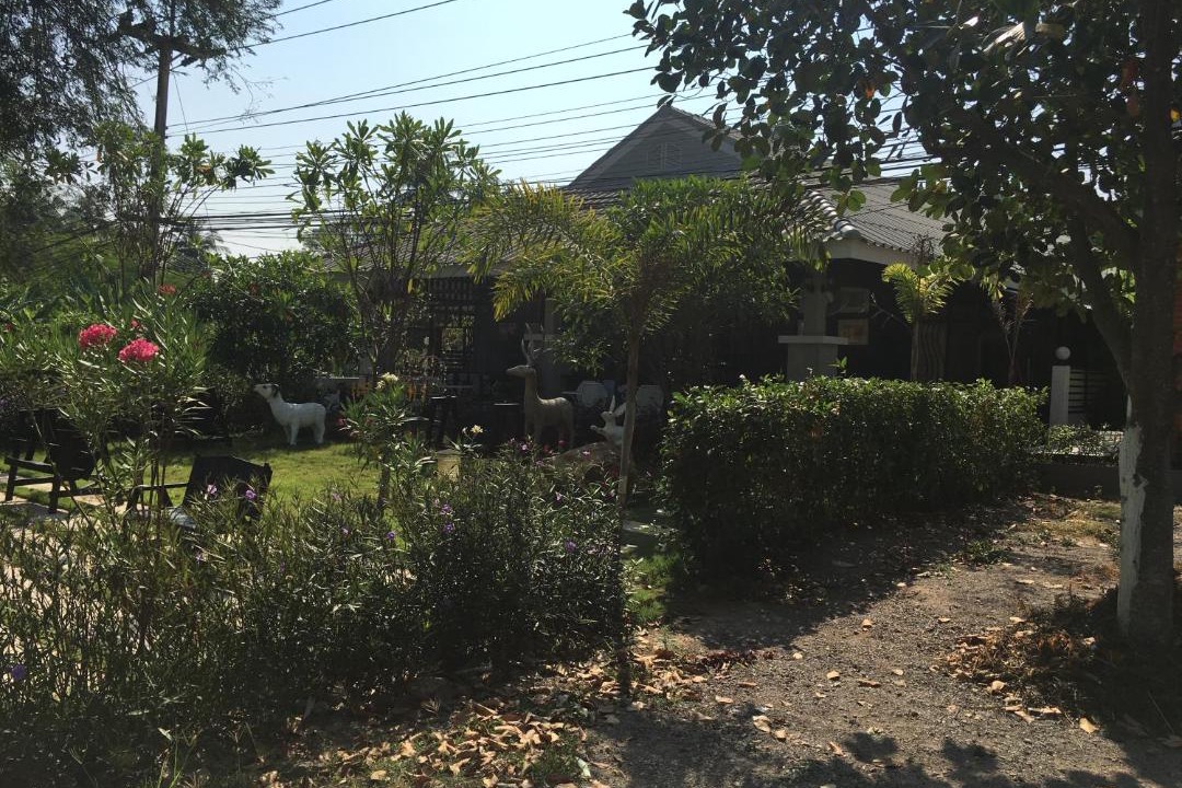 Photo of Others in Kaeng Krachan