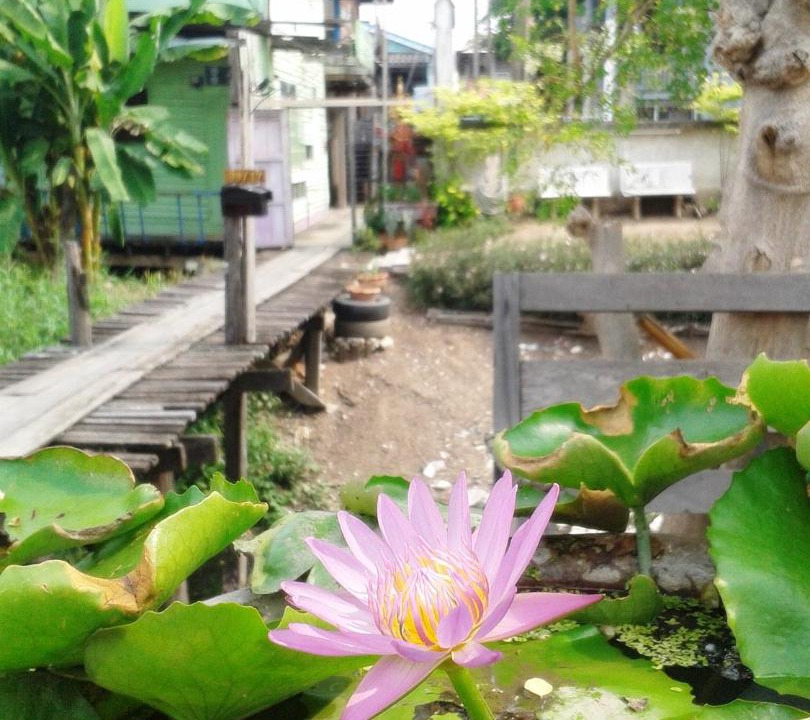 Photo of Outdoor in Ayutthaya