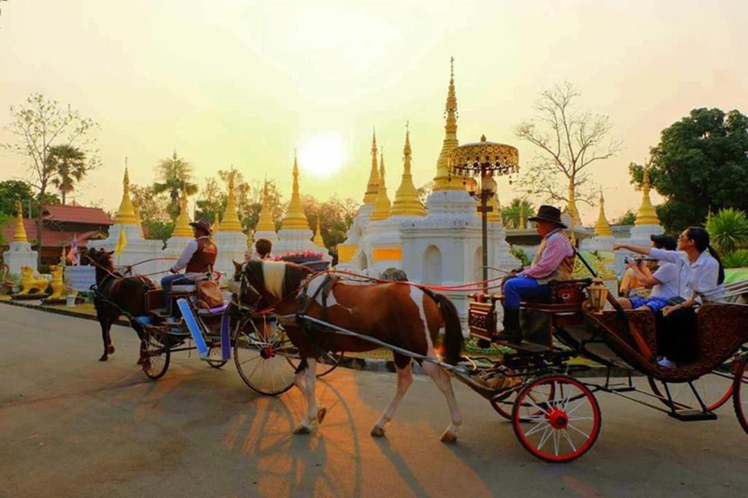 Photo of Others in Wiang Nuea