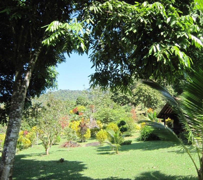 Photo of Others in Krabi