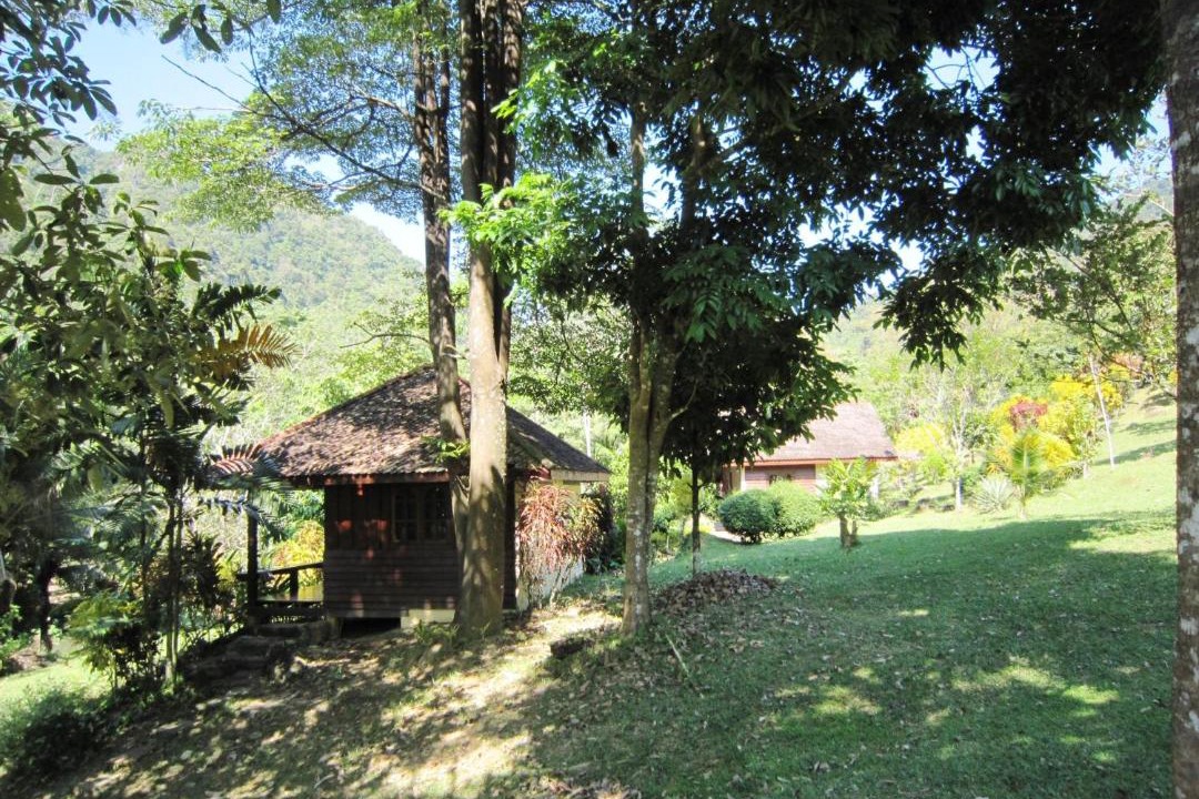 Photo of Others in Krabi