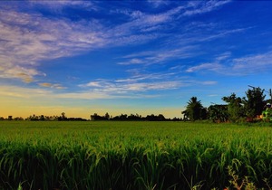 Siam Lanna Homestay