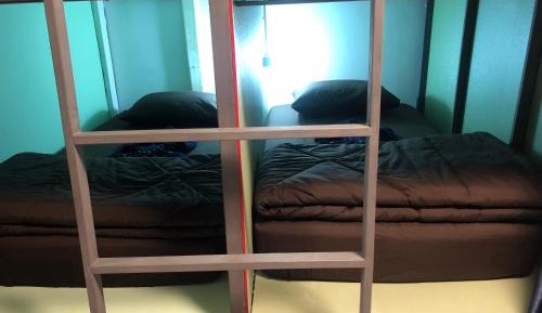 Bunk Bed in Mixed Dormitory Room