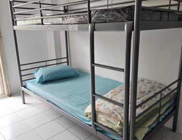 Single Bed in 6-Bed Dormitory Room