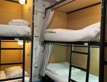Bed in 6-Bed Dormitory Room