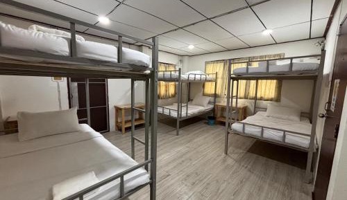 Bunk Bed in Mixed Dormitory Room