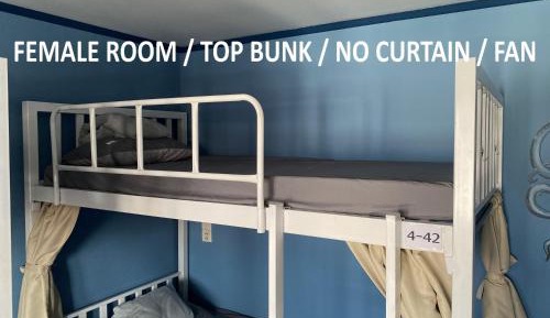 Bed in 4-Bed Female Dormitory Room