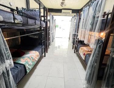 Bunk Bed in Mixed Dormitory Room
