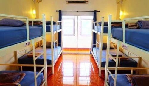 Bunk Bed in Mixed Dormitory Room