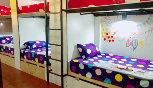 Bunk Bed in Mixed Dormitory Room