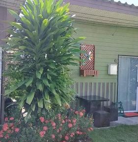 Bungalow with Garden View