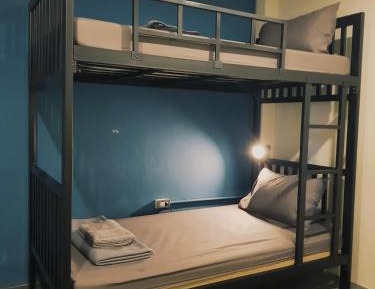 Bunk Bed in Mixed Dormitory Room