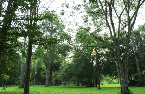 Kaeng Krachan Hotel | Baan Maka Nature Lodge