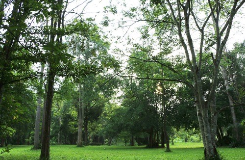 Kaeng Krachan Hotel | Baan Maka Nature Lodge